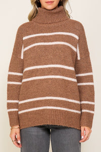 Turtle Neck Pinstripe Sweater