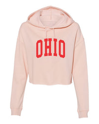 Ohio Varsity Cropped Hoodie