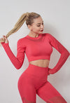 Cool Mesh Stitching Long Sleeve Sports Top & Leggings Two-Piece Fitness Set