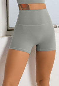 Biker High Rise Sculpting Tight Shorts-gray