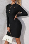 Perfee Mock Neck Long Sleeve Mini Dress