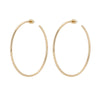 2.5" Ultimate Hoops 